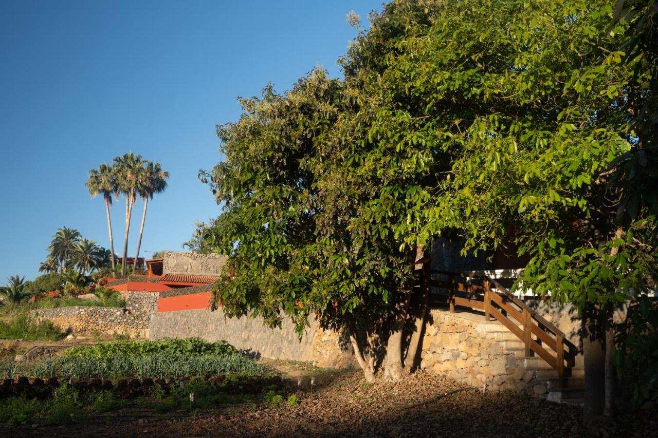 Finca Pico Los Realejos Buitenkant foto